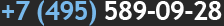 +7 (495) 589-09-28
